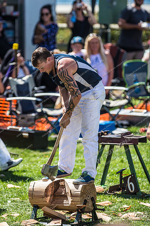 - WoodChopping-25