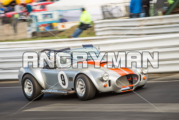 9 Michael Baier Cobra Regularity Sports & Racing Cars Group 2 - Sunday