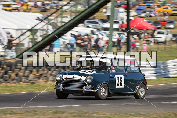 36 Cameron Sabine - Morris Cooper S - Group N Under Three Litre - Sunday-4