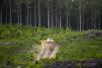 15 - SS1-11
