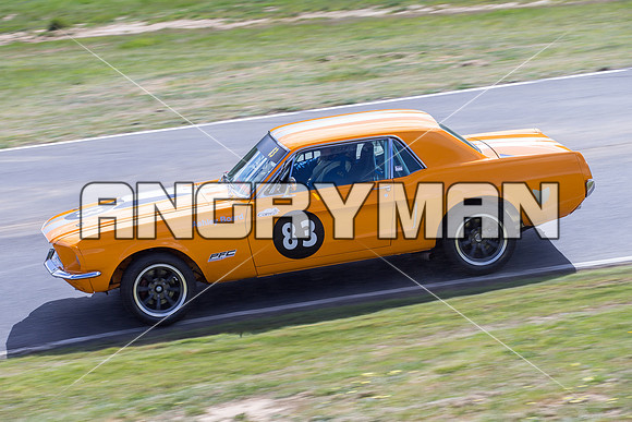 83 Terry Harper Ford Mustang Muscle Car Cup Over 3 Litres - Saturday-3