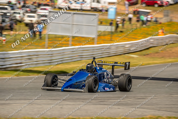 F5000 Group Q & R & Invited - 7 - Baskerville Historics 2024-8