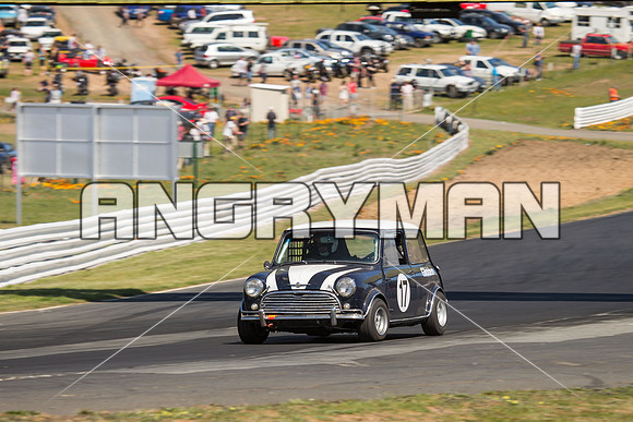 17 Andrew Gliddon - Morris Cooper S - Group N Under Three Litre - Sunday-3