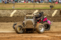 Wingless 42 T42 - Friday-6