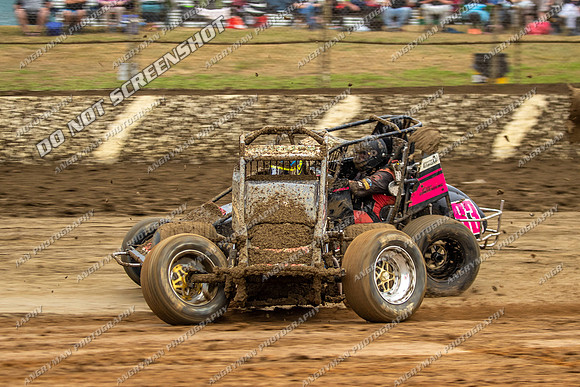 Wingless 42 T42 - Friday-6