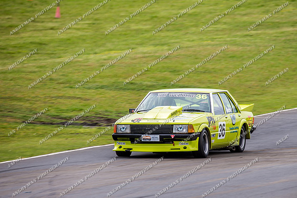 Muscle Car Cup Over 3501cc - 36 Kodie Madden - Sunday - 2nd October 2016