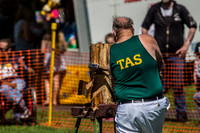 - WoodChopping-6
