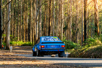 489 - SS09 SS-2