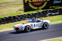 9 Armin Baier - Cobra - Regularity Sports & Racing Cars - Saturday-7