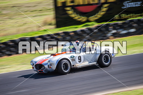 9 Armin Baier - Cobra - Regularity Sports & Racing Cars - Saturday-7