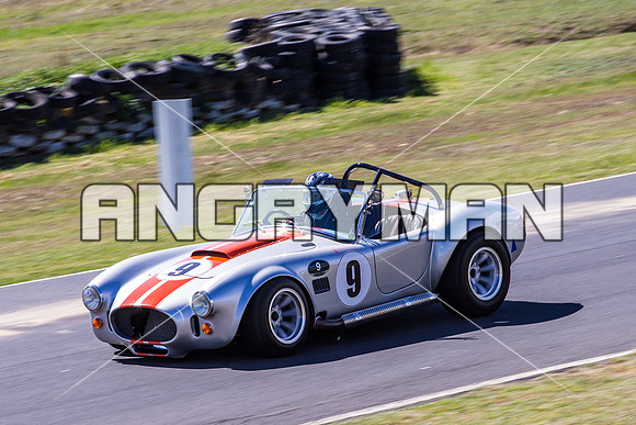 9 Michael Baier Cobra Regularity Sports & Racing Cars Group 2 - Saturday-6