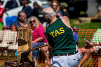 Woodchopping