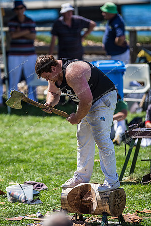 - WoodChopping-27