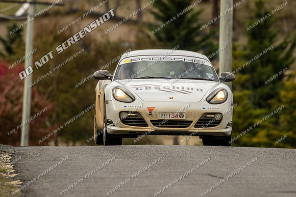 134 - TS33 - Cygnet - JL
