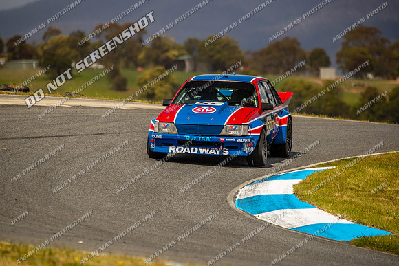 Muscle Car Cup - 55 - Baskerville Historics 2024-15