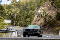 S22 - TS03 - Little Mulgrave - JL