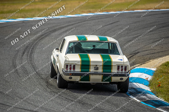Group Nb & Nc Touring Cars - 5 - Baskerville Historics 2024-11