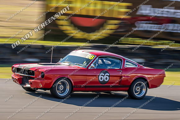 66 - Regularity Sedans-5