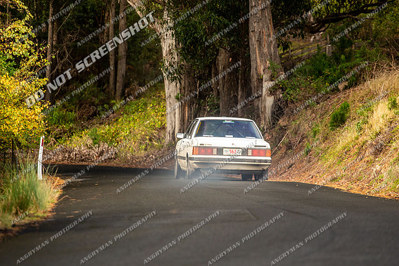 562 - TS31 - Pelverata - GS-2