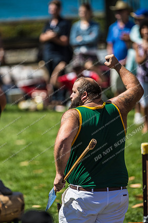 - WoodChopping-23