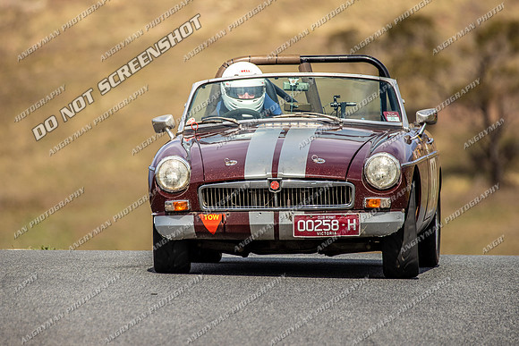 82 - Regularity - Marque Sportscars & Invited-10