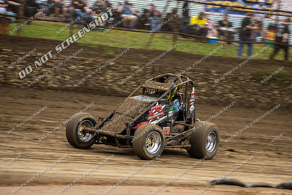 Wingless 42 T42 - Friday