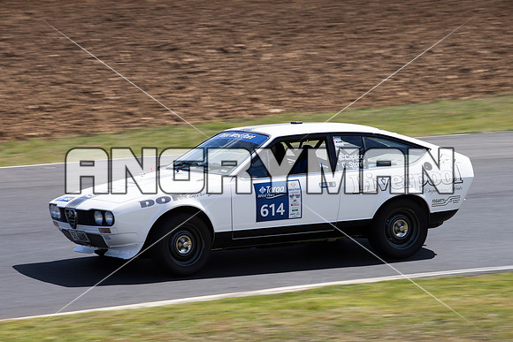 614 Geoff Storr Alfa Romeo Alfetta GTV Regularity Marque Sportscars & Invited Group 3 - Saturday-5