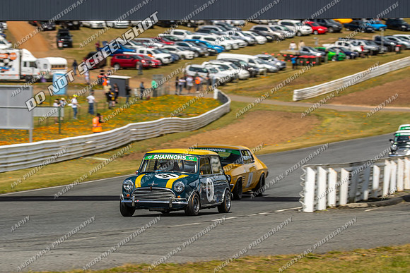 Group Nb & Nc Touring Cars - 91 - Baskerville Historics 2024-8