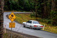 562 - TS07 - Sideling - RM-2