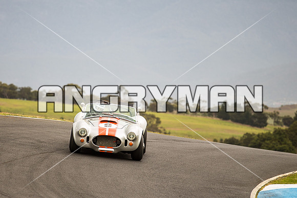 9 Michael Baier Cobra Regularity Sports & Racing Cars Group 2 - Saturday-3