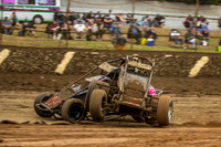 Wingless 42 T42 - Friday-3