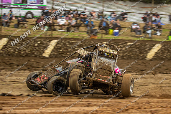 Wingless 42 T42 - Friday-3