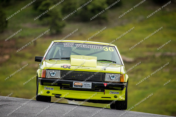 Muscle Car Cup Over 3501cc - 36 Kodie Madden - Sunday - 2nd October 2016-11