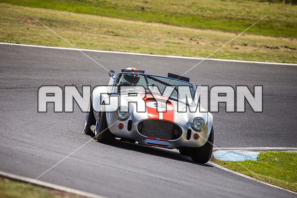 9 Armin Baier - Cobra - Regularity Sports & Racing Cars - Saturday-9