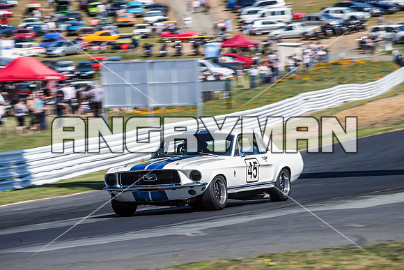 45 Milan Zizek - Ford Mustang - Group N Over Three Litre - Sunday-3