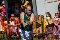 - WoodChopping-8
