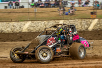 Wingless 42 T42 - Friday-7