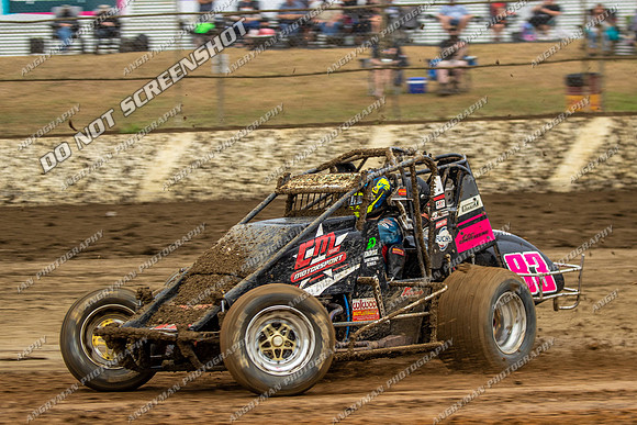 Wingless 42 T42 - Friday-7