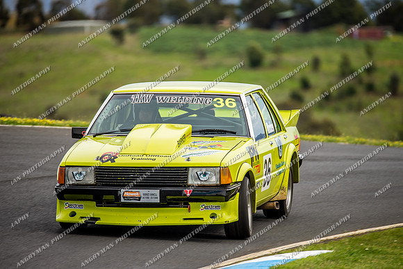 Muscle Car Cup Over 3501cc - 36 Kodie Madden - Sunday - 2nd October 2016-5