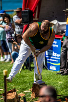 - WoodChopping-19
