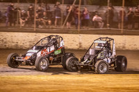 Wingless 4 T4 - 13 - Hobart - 11th Feb 2023-5