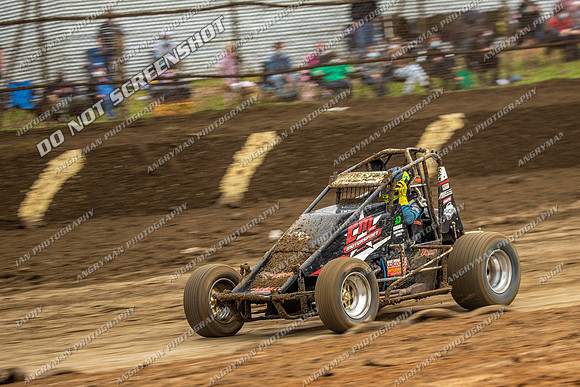 Wingless 42 T42 - Friday-2