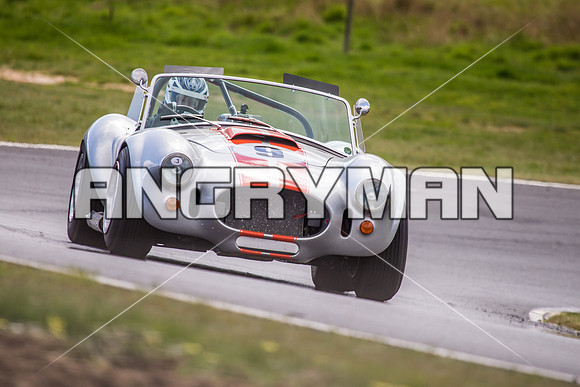 9 Michael Baier Cobra Regularity Sports & Racing Cars Group 2 - Sunday-6