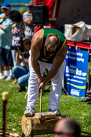 - WoodChopping-15